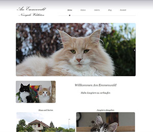 Création du site Am Emmenwald en Responsive Web Design, création de site internet Lausanne, Echallens, Vaud, Neuchâtel, Jura, Fribourg, Valais, Suisse